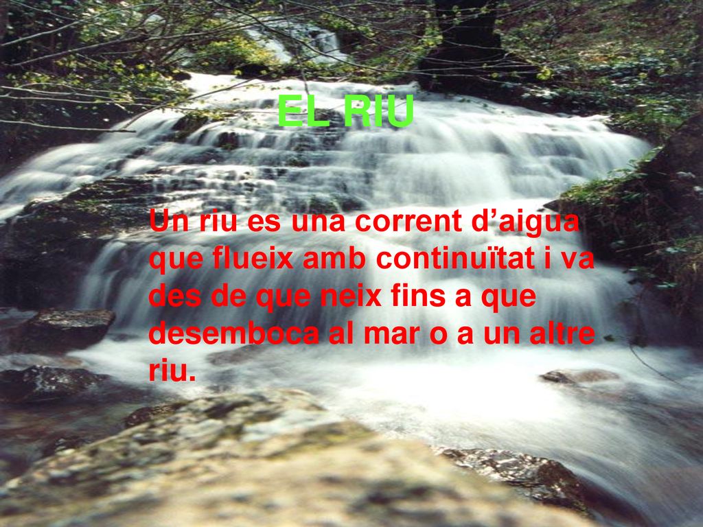 EL RIU Un riu es una corrent d’aigua que flueix amb continuïtat i va des de que neix fins a que desemboca al mar o a un altre riu.