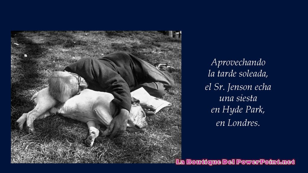 Aprovechando la tarde soleada, el Sr. Jenson echa una siesta en Hyde Park, en Londres.