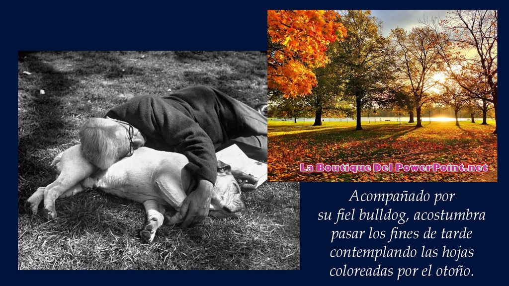 Acompañado por su fiel bulldog, acostumbra pasar los fines de tarde contemplando las hojas coloreadas por el otoño.