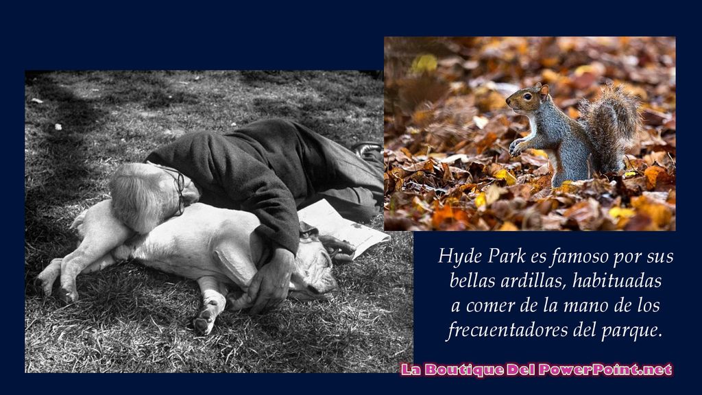 Hyde Park es famoso por sus bellas ardillas, habituadas