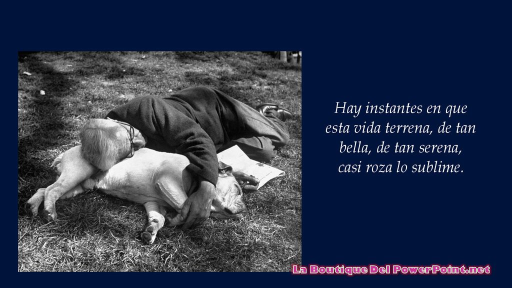 Hay instantes en que esta vida terrena, de tan bella, de tan serena,