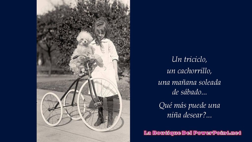 Un triciclo, un cachorrillo, una mañana soleada de sábado... Qué más puede una niña desear ...