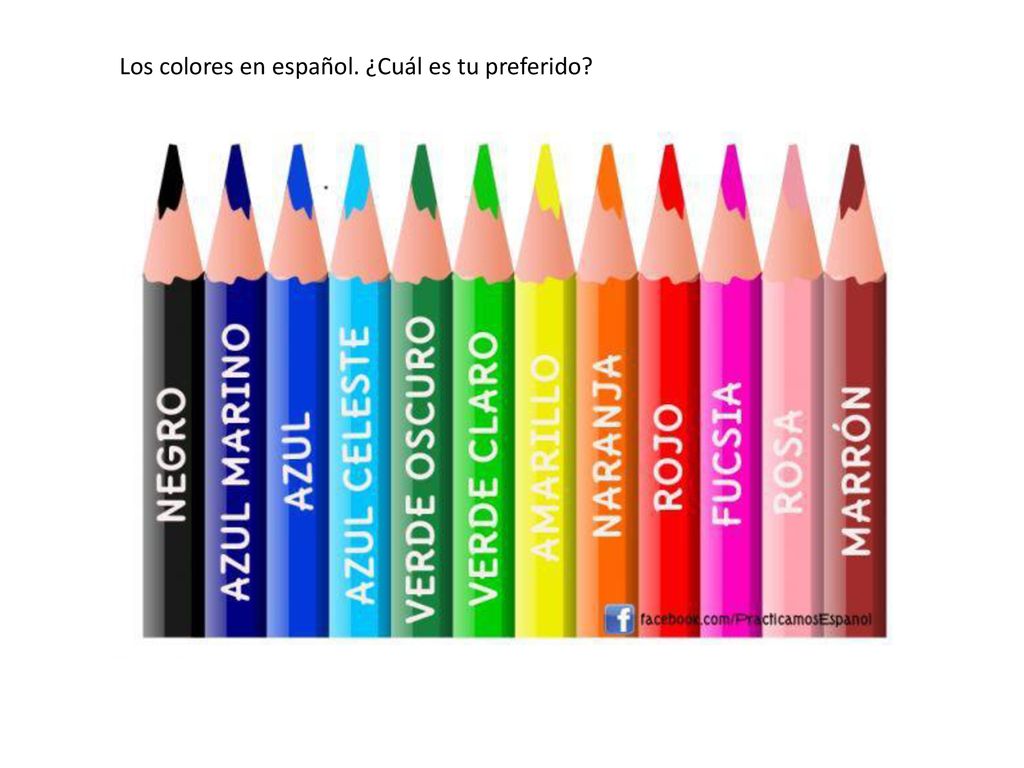 Los colores en español. ¿Cuál es tu preferido