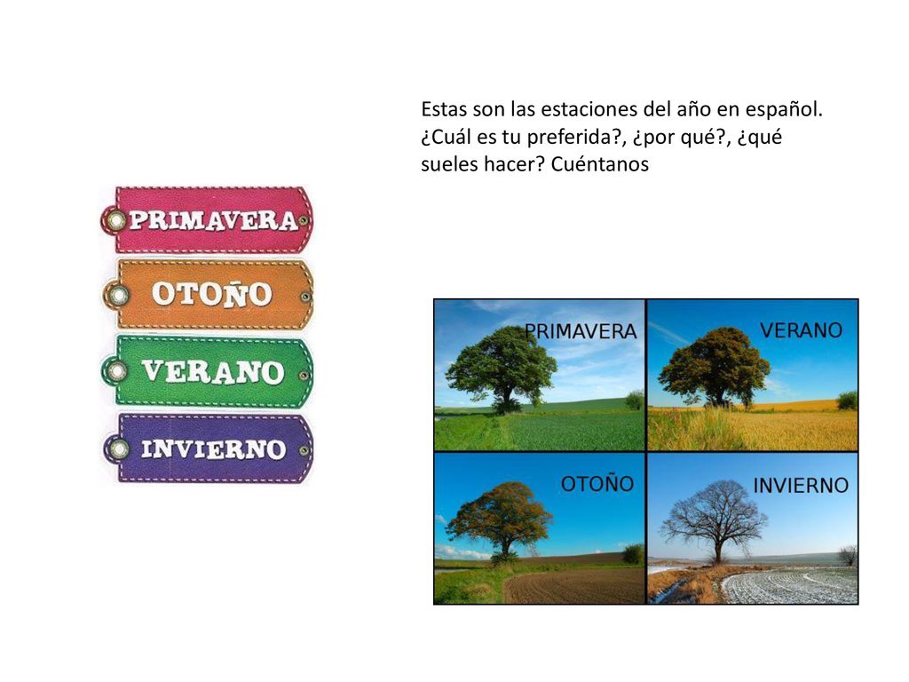 Estas son las estaciones del año en español. ¿Cuál es tu preferida