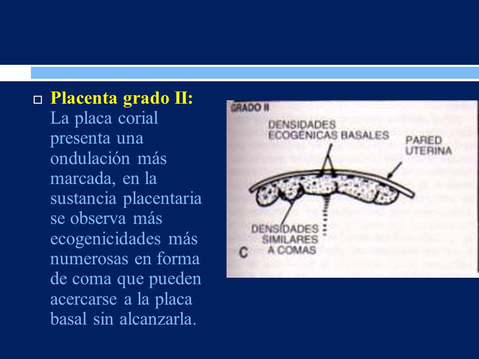 Placenta grado II: La placa corial presenta una ondulación más marcada, en la sustancia placentaria se observa más ecogenicidades más numerosas en forma de coma que pueden acercarse a la placa basal sin alcanzarla.
