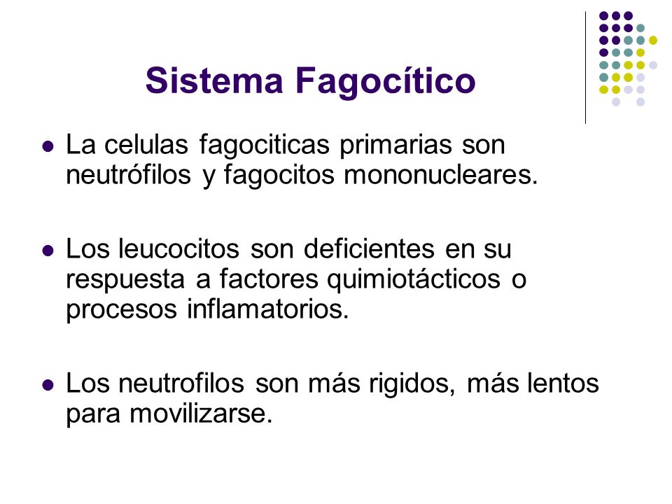 Sistema Fagocítico La celulas fagociticas primarias son neutrófilos y fagocitos mononucleares.