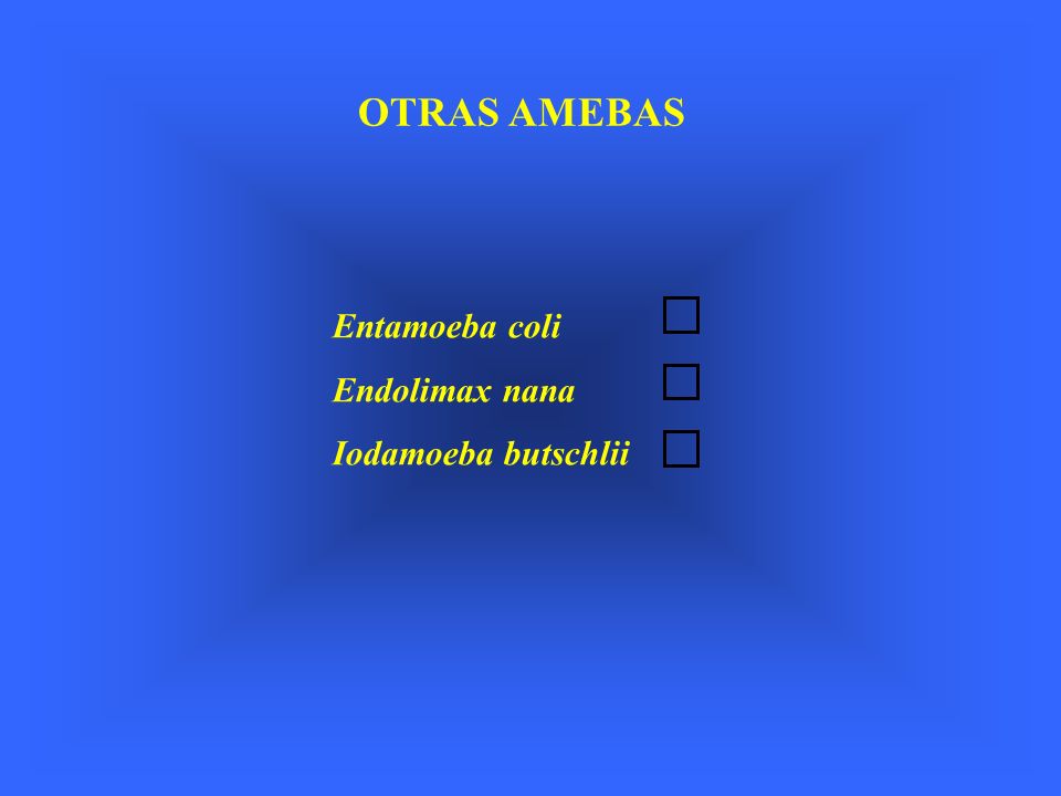 OTRAS AMEBAS Entamoeba coli Endolimax nana Iodamoeba butschlii