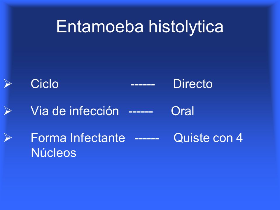 Entamoeba histolytica