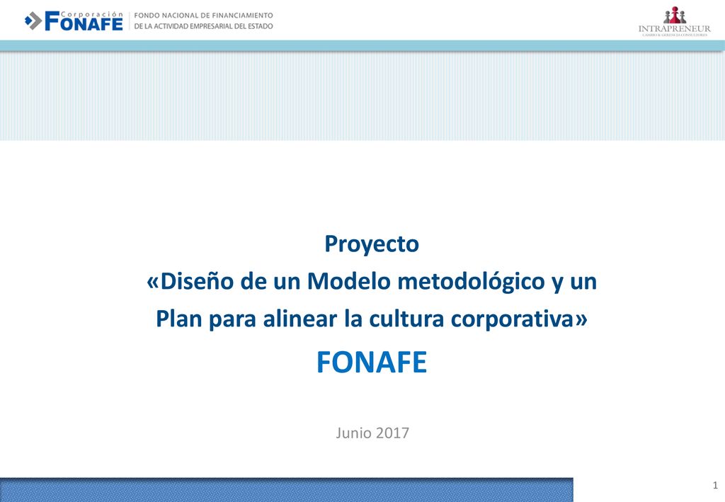 Proyecto «Diseño de un Modelo metodológico y un Plan para alinear la cultura corporativa» FONAFE.