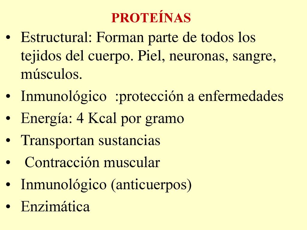 Inmunológico :protección a enfermedades Energía: 4 Kcal por gramo