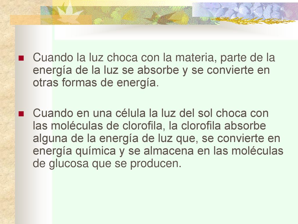 Cuando la luz choca con la materia, parte de la energía de la luz se absorbe y se convierte en otras formas de energía.