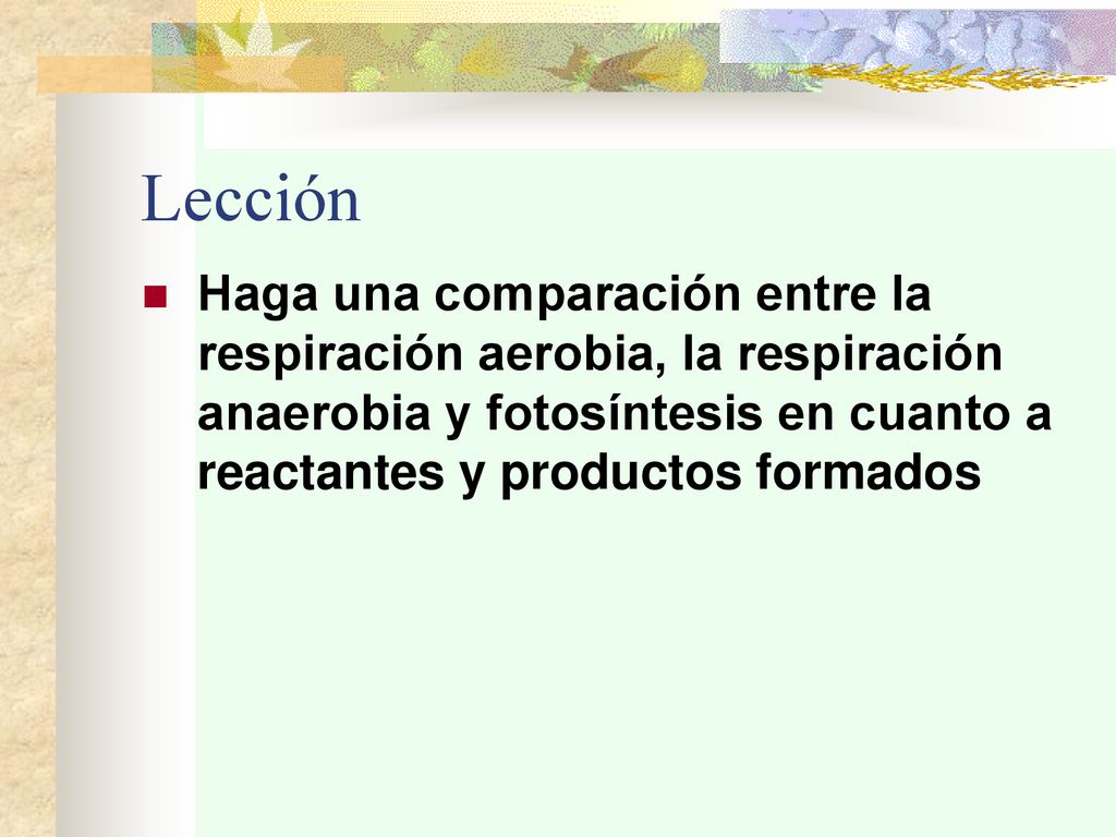Lección Haga una comparación entre la respiración aerobia, la respiración anaerobia y fotosíntesis en cuanto a reactantes y productos formados.