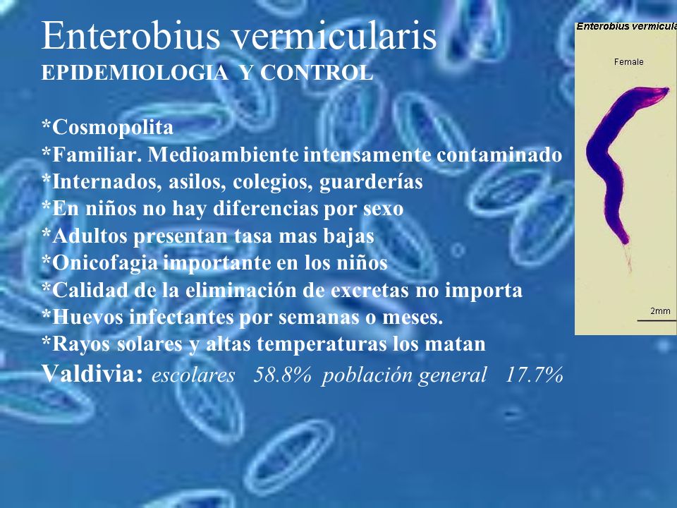 la enterobiasis definicion)