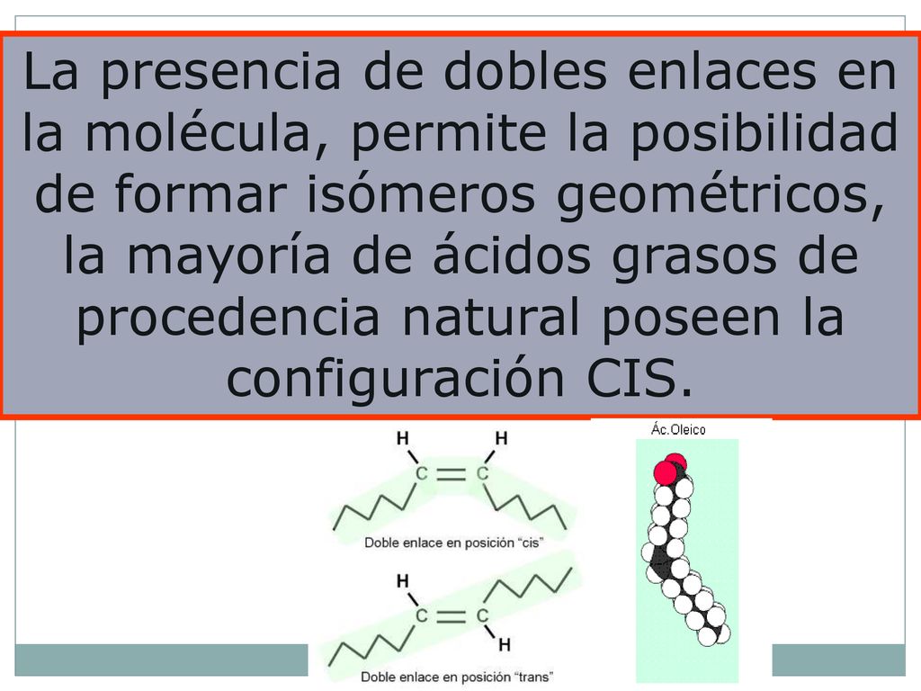 La presencia de dobles enlaces en la molécula, permite la posibilidad de formar isómeros geométricos, la mayoría de ácidos grasos de procedencia natural poseen la configuración CIS.