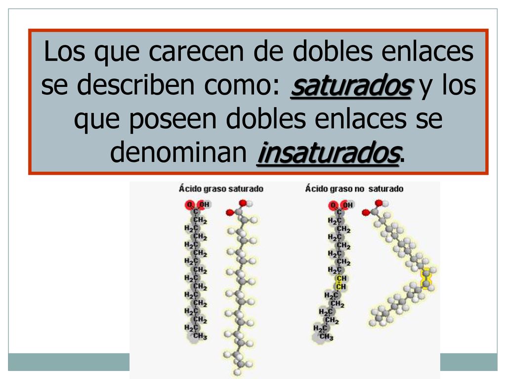 Los que carecen de dobles enlaces se describen como: saturados y los que poseen dobles enlaces se denominan insaturados.