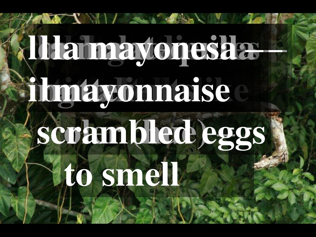 los ingredientes – ingredients. los huevos. revueltos – scrambled eggs. la mantequilla – butter.