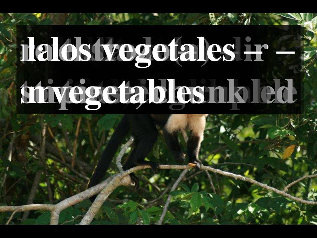 revolver (ue) – to stir, to scramble. revuelto(a) – stirred, scrambled. la taza de medir – measuring cup.