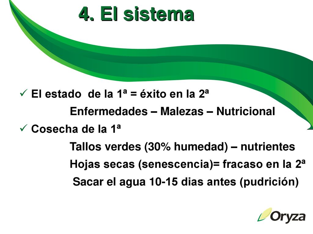 4. El sistema El estado de la 1ª = éxito en la 2ª