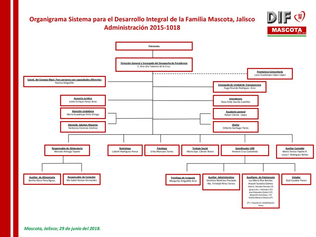 Organigrama Sistema para el Desarrollo Integral de la Familia Mascota, Jalisco