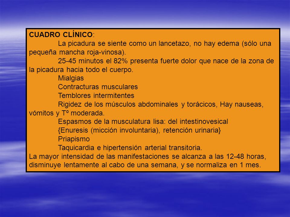 CUADRO CLÍNICO: La picadura se siente como un lancetazo, no hay edema (sólo una pequeña mancha roja-vinosa).