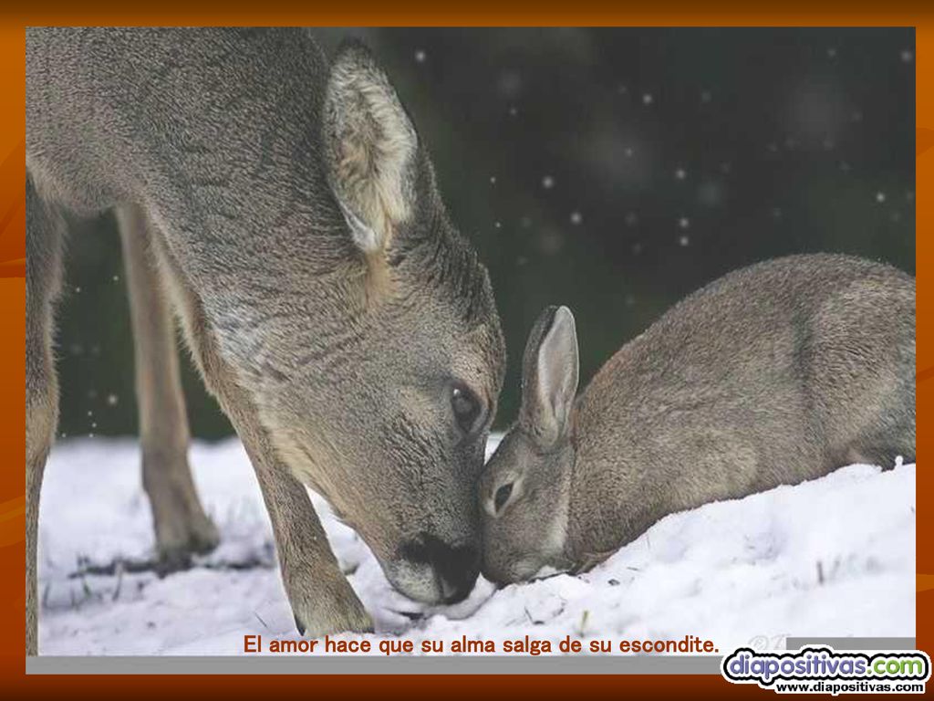 El amor hace que su alma salga de su escondite.