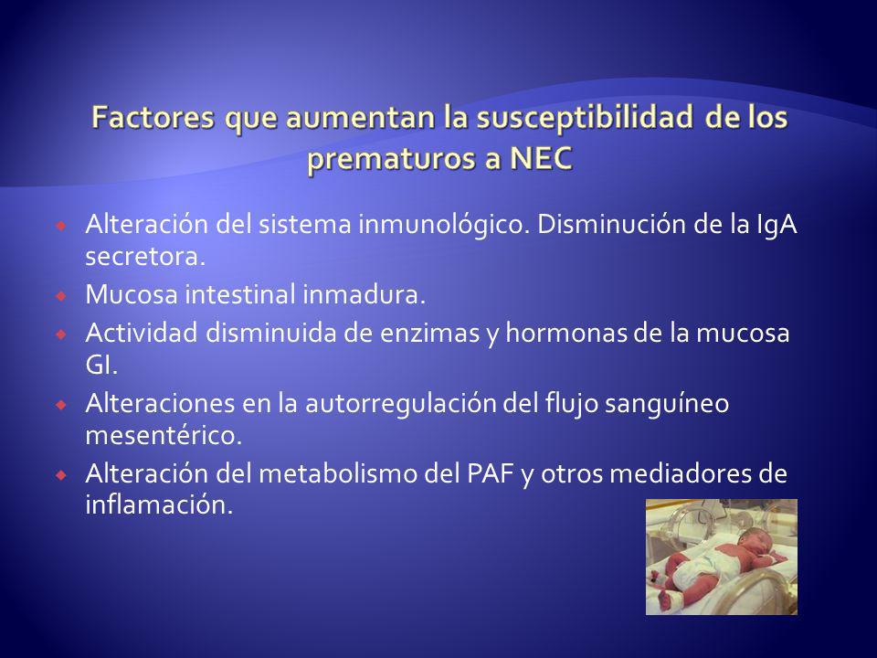 Factores que aumentan la susceptibilidad de los prematuros a NEC
