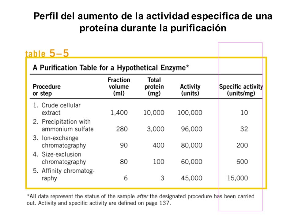 Perfil del aumento de la actividad especifica de una proteína durante la purificación