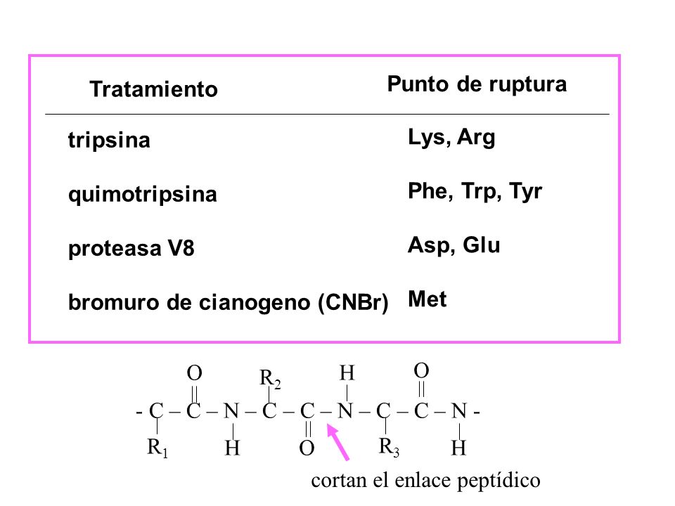 Punto de ruptura Tratamiento. tripsina. quimotripsina. proteasa V8. bromuro de cianogeno (CNBr)