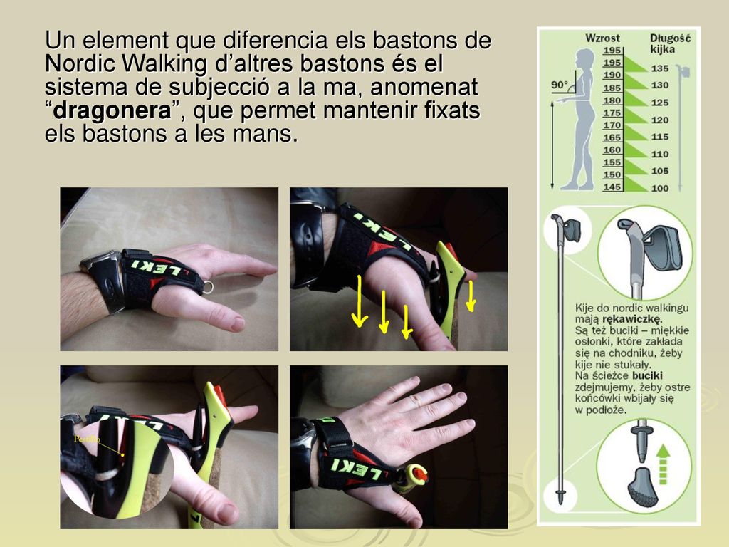 Un element que diferencia els bastons de Nordic Walking d’altres bastons és el sistema de subjecció a la ma, anomenat dragonera , que permet mantenir fixats els bastons a les mans.