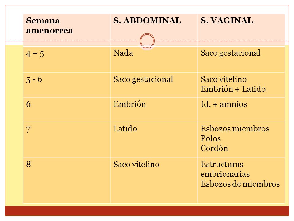 Cronograma de aparición de las distintas estructuras en el saco