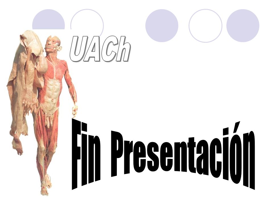 UACh Fin Presentación
