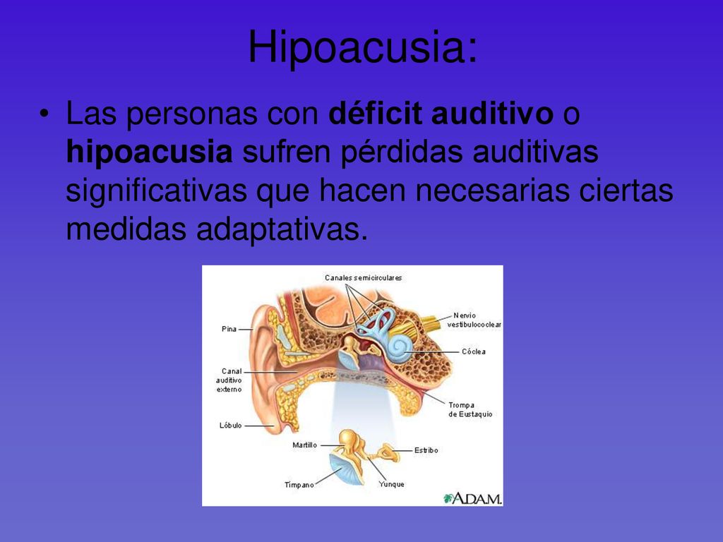 Hipoacusia: Las personas con déficit auditivo o hipoacusia sufren pérdidas auditivas significativas que hacen necesarias ciertas medidas adaptativas.
