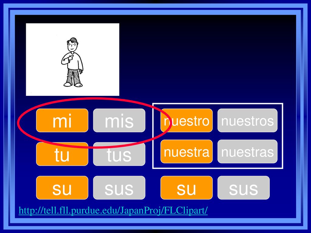 mi mis tu tus su sus su sus nuestro nuestros nuestra nuestras