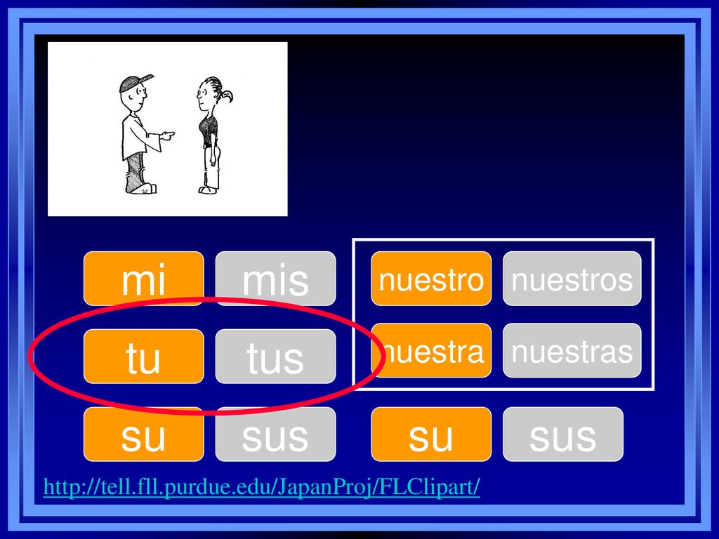 mi mis tu tus su sus su sus nuestro nuestros nuestra nuestras