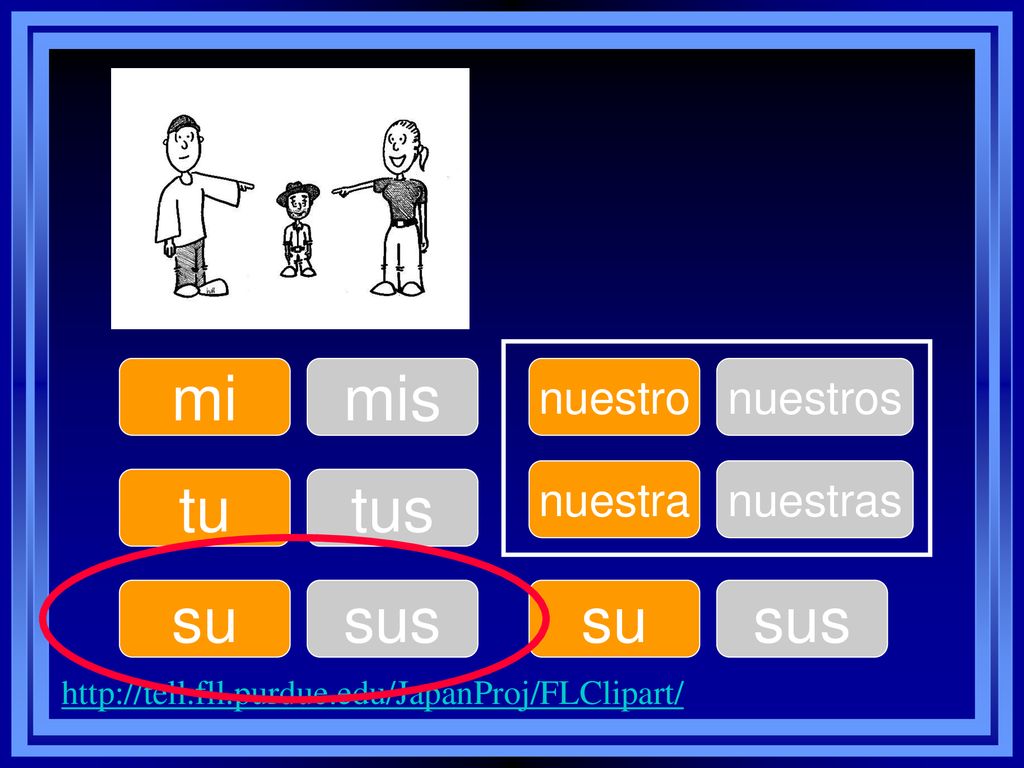 mi mis tu tus su sus su sus nuestro nuestros nuestra nuestras