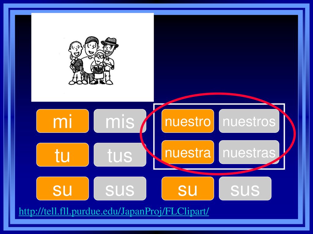 mi mis tu tus su sus su sus nuestro nuestros nuestra nuestras