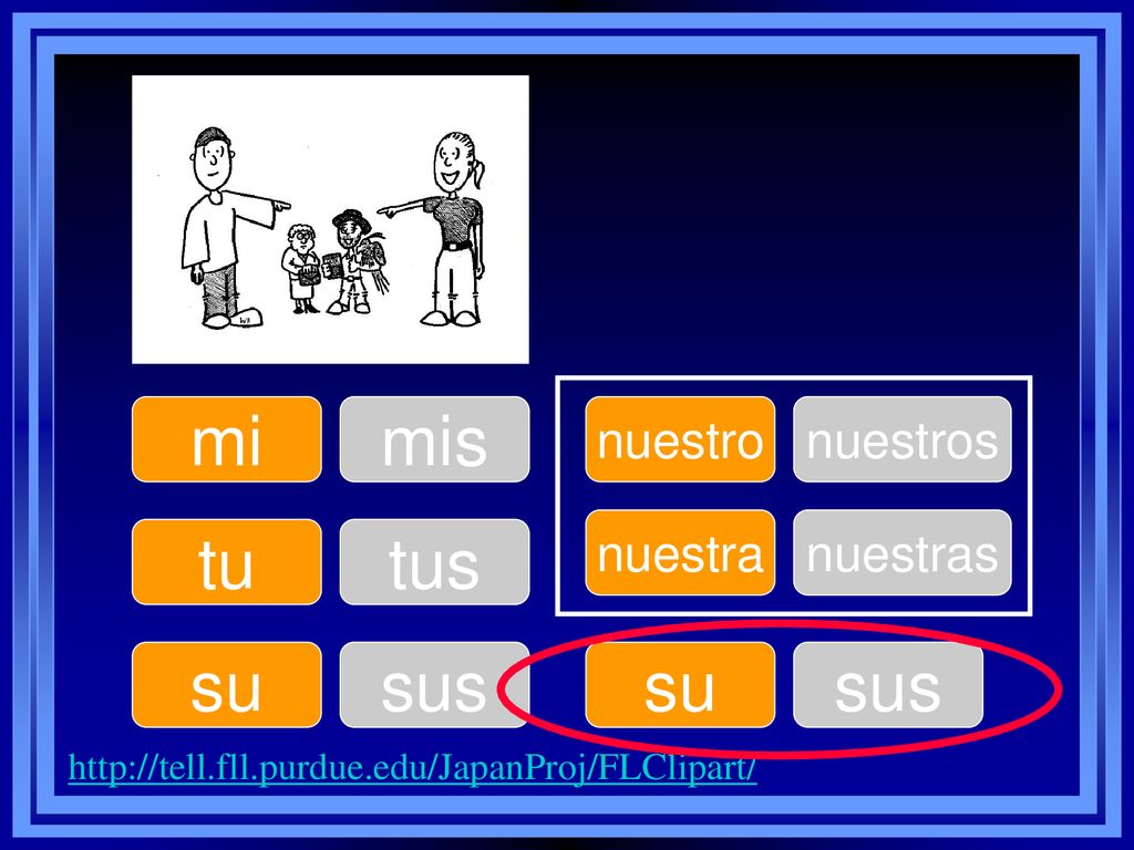 mi mis tu tus su sus su sus nuestro nuestros nuestra nuestras