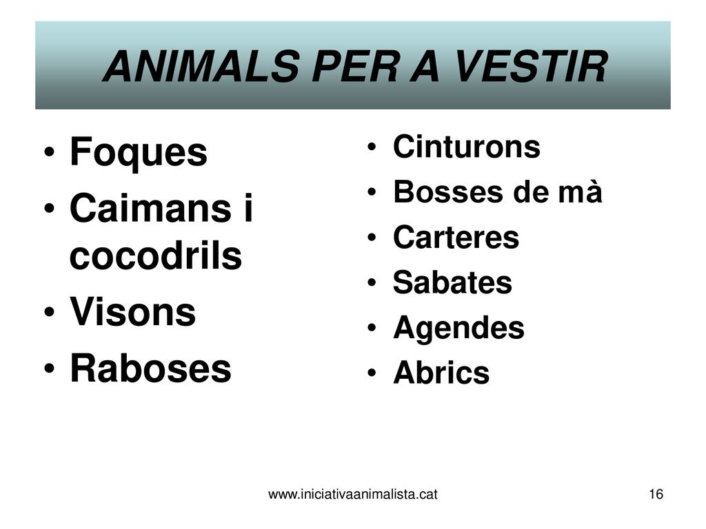 ANIMALS PER A VESTIR Foques Caimans i cocodrils Visons Raboses