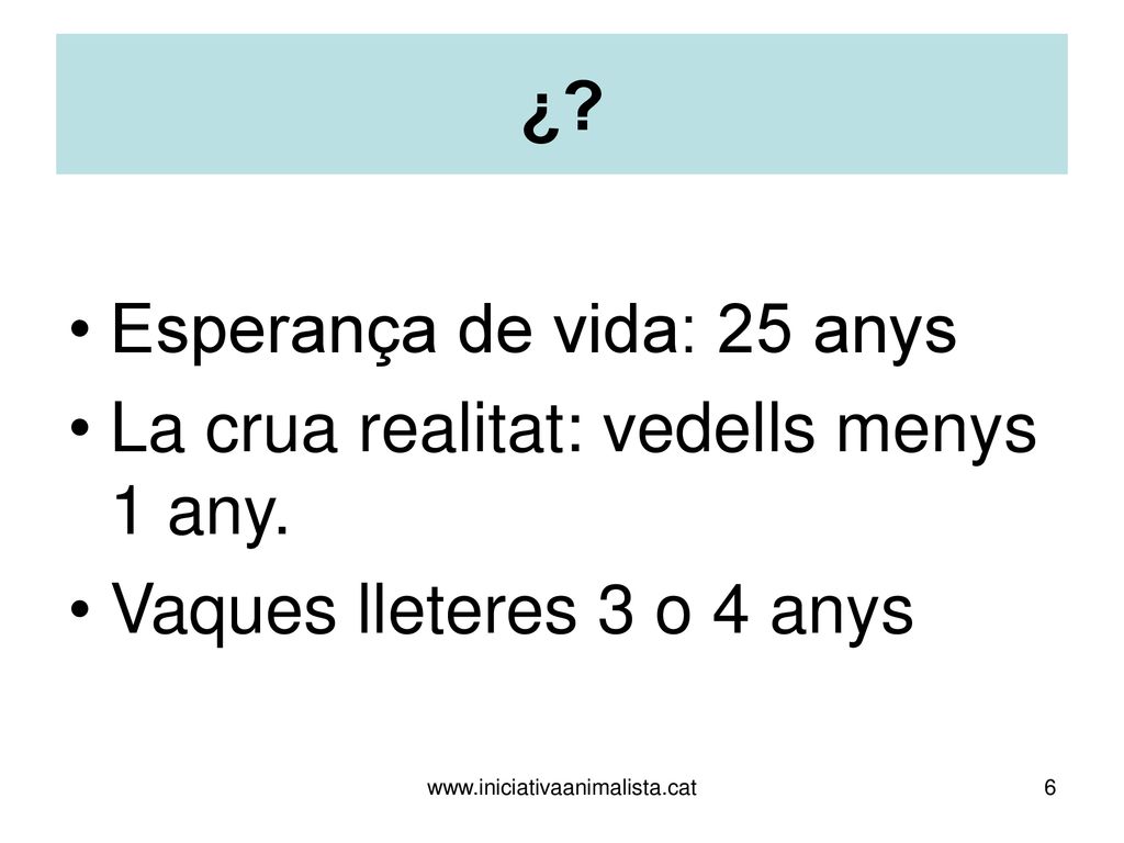 Esperança de vida: 25 anys La crua realitat: vedells menys 1 any.