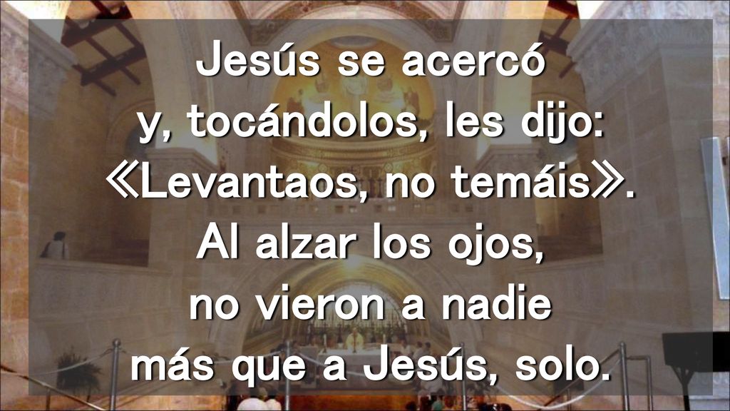 Jesús se acercó y, tocándolos, les dijo: «Levantaos, no temáis»