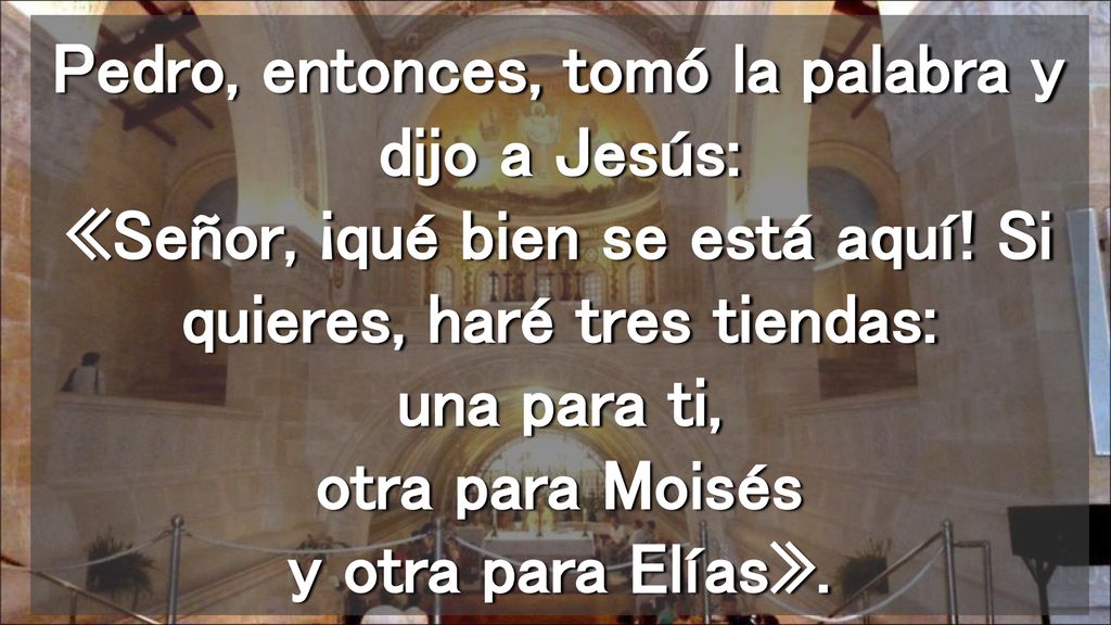 Pedro, entonces, tomó la palabra y dijo a Jesús: «Señor, ¡qué bien se está aquí.