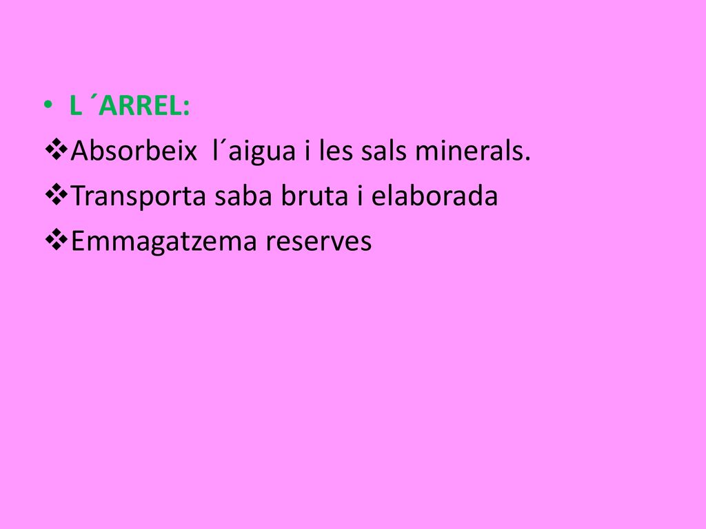 L ´ARREL: Absorbeix l´aigua i les sals minerals. Transporta saba bruta i elaborada.