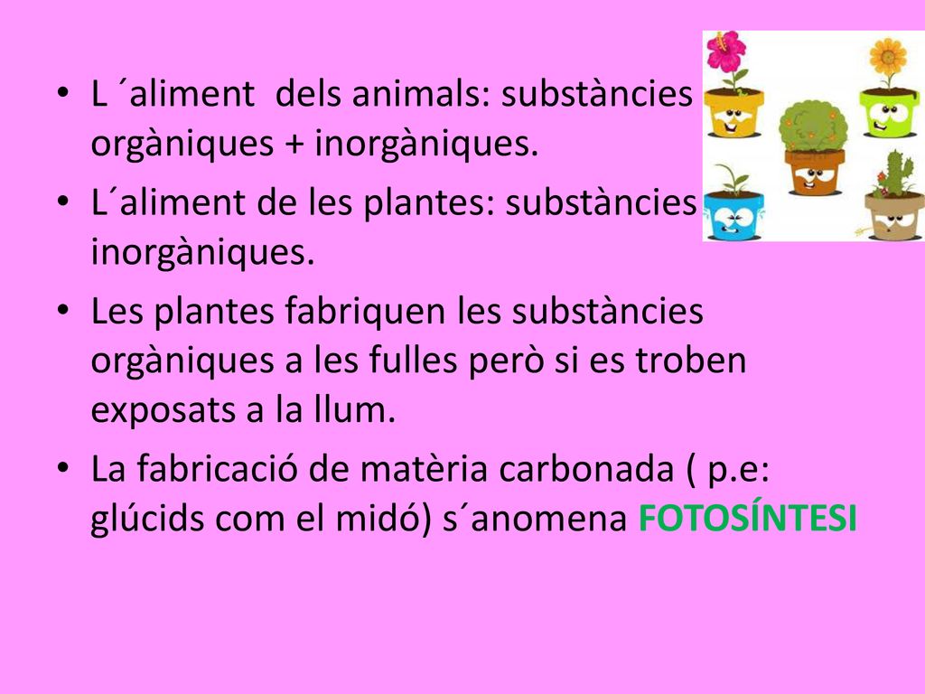 L ´aliment dels animals: substàncies orgàniques + inorgàniques.