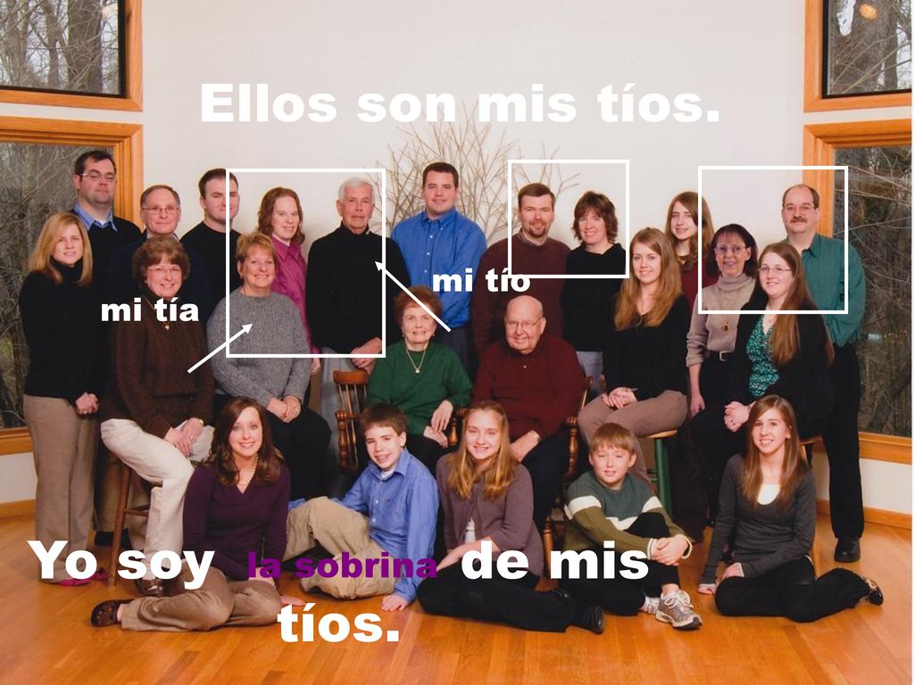 Ellos son mis tíos. mi tío mi tía Yo soy de mis tíos. la sobrina