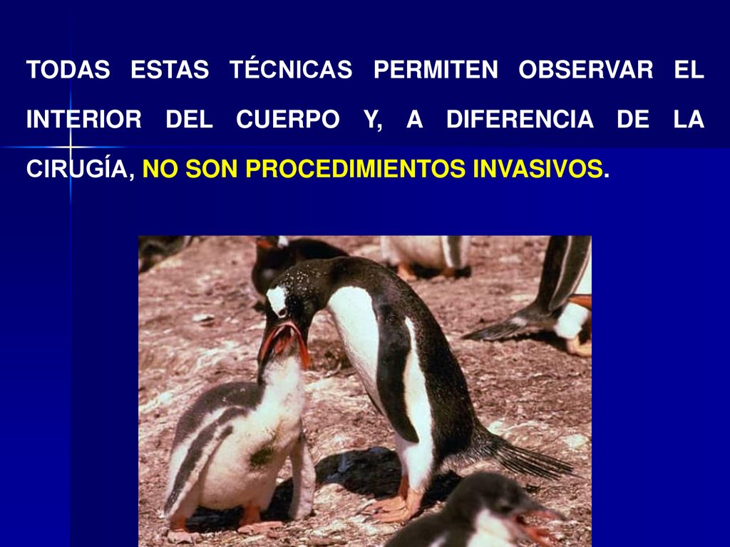 TODAS ESTAS TÉCNICAS PERMITEN OBSERVAR EL INTERIOR DEL CUERPO Y, A DIFERENCIA DE LA CIRUGÍA, NO SON PROCEDIMIENTOS INVASIVOS.