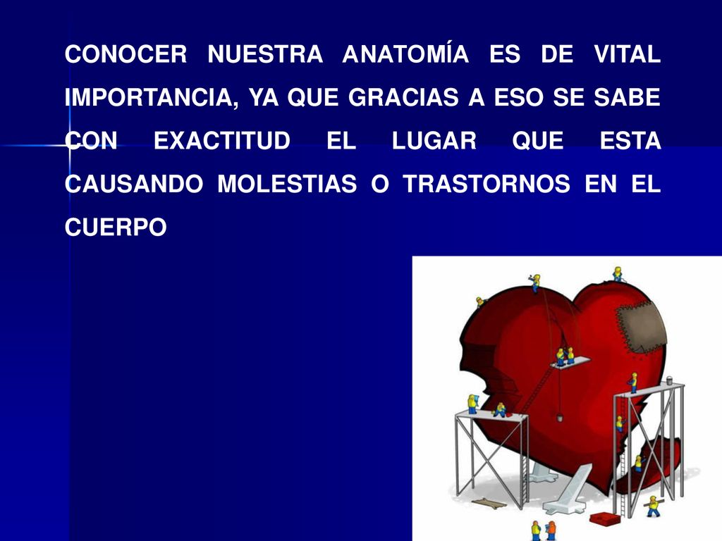 CONOCER NUESTRA ANATOMÍA ES DE VITAL IMPORTANCIA, YA QUE GRACIAS A ESO SE SABE CON EXACTITUD EL LUGAR QUE ESTA CAUSANDO MOLESTIAS O TRASTORNOS EN EL CUERPO