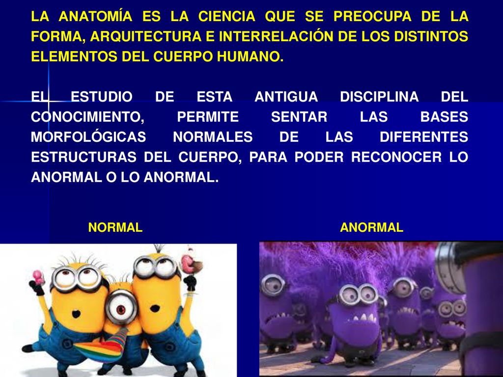 LA ANATOMÍA ES LA CIENCIA QUE SE PREOCUPA DE LA FORMA, ARQUITECTURA E INTERRELACIÓN DE LOS DISTINTOS ELEMENTOS DEL CUERPO HUMANO.