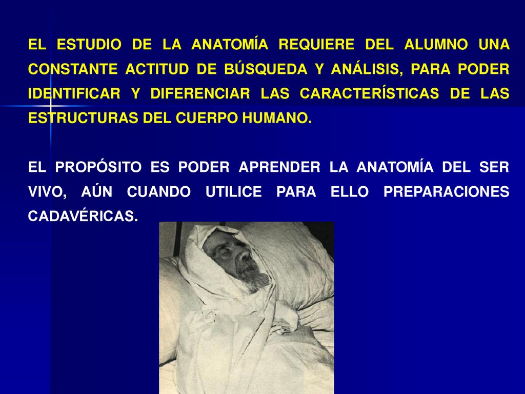 EL ESTUDIO DE LA ANATOMÍA REQUIERE DEL ALUMNO UNA CONSTANTE ACTITUD DE BÚSQUEDA Y ANÁLISIS, PARA PODER IDENTIFICAR Y DIFERENCIAR LAS CARACTERÍSTICAS DE LAS ESTRUCTURAS DEL CUERPO HUMANO.