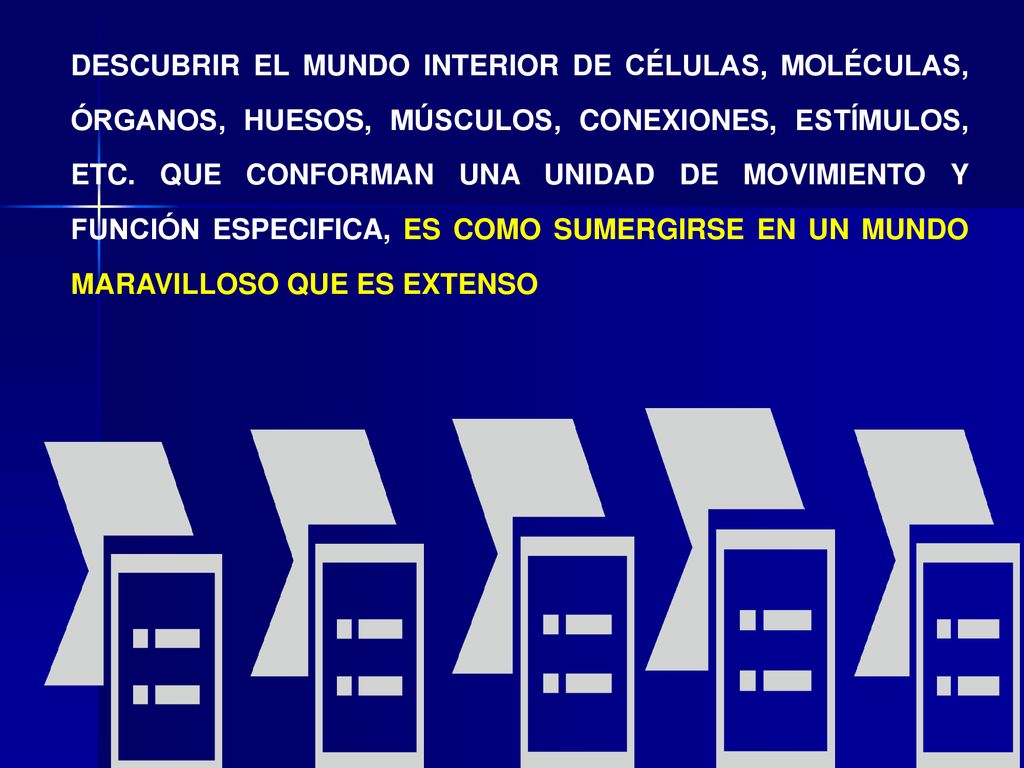 DESCUBRIR EL MUNDO INTERIOR DE CÉLULAS, MOLÉCULAS, ÓRGANOS, HUESOS, MÚSCULOS, CONEXIONES, ESTÍMULOS, ETC.