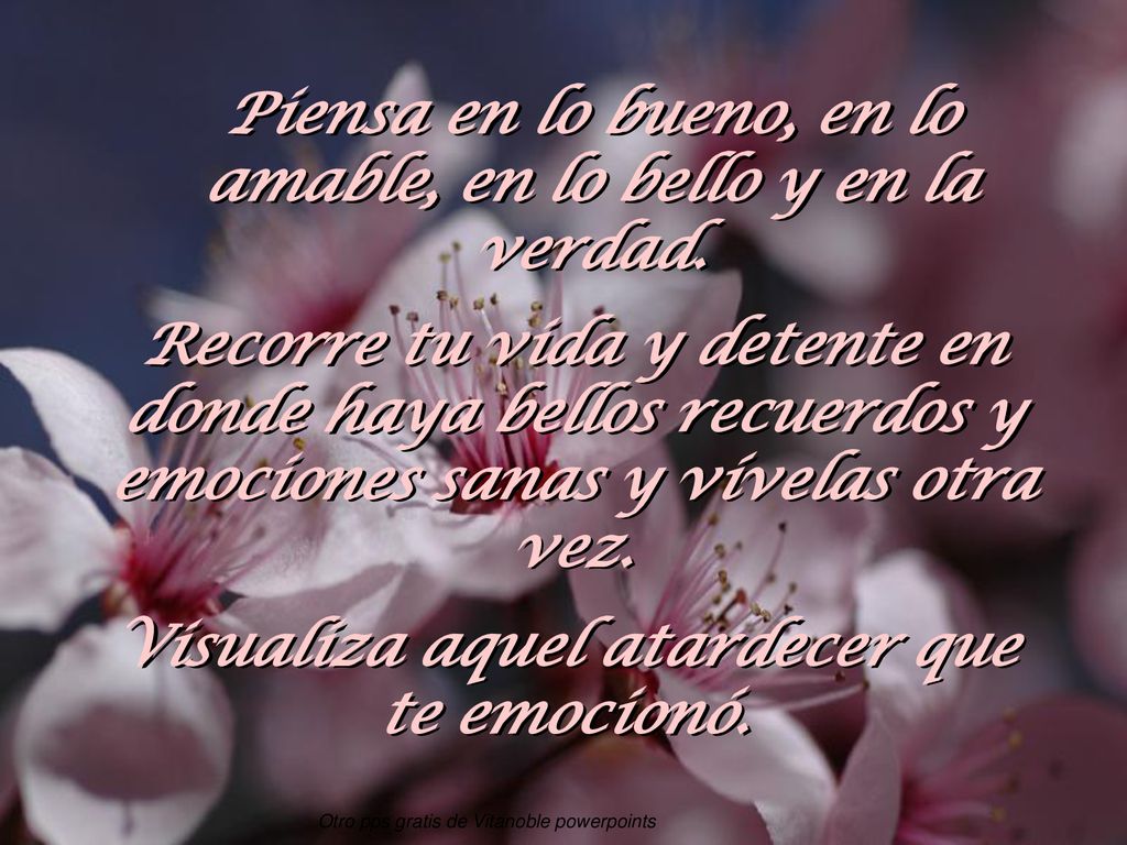 Piensa en lo bueno, en lo amable, en lo bello y en la verdad.